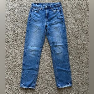 American Eagle Outfitters Women's Blue Jeans